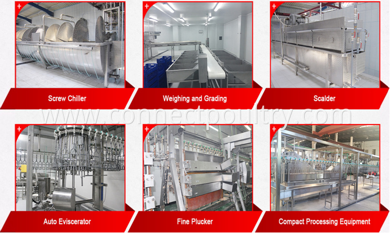 Poultry processing equipment